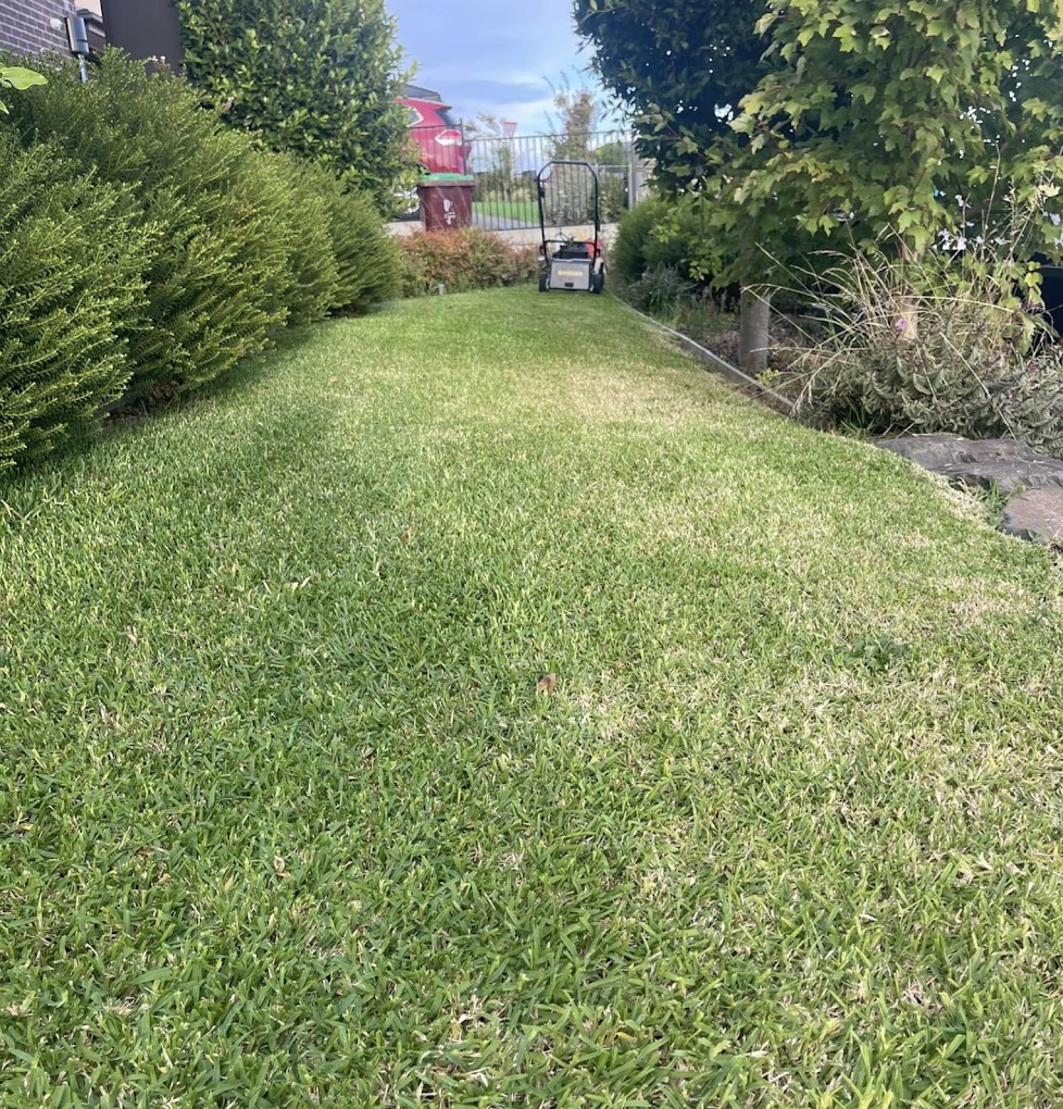 Occurs Clean PTY LTD Cleaning & Gardening Service — photo 5