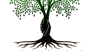 Big Tree Supports logo