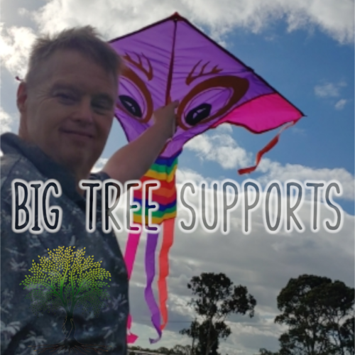 Big Tree Supports — photo 9