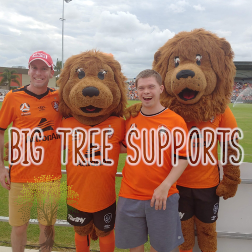 Big Tree Supports — photo 6