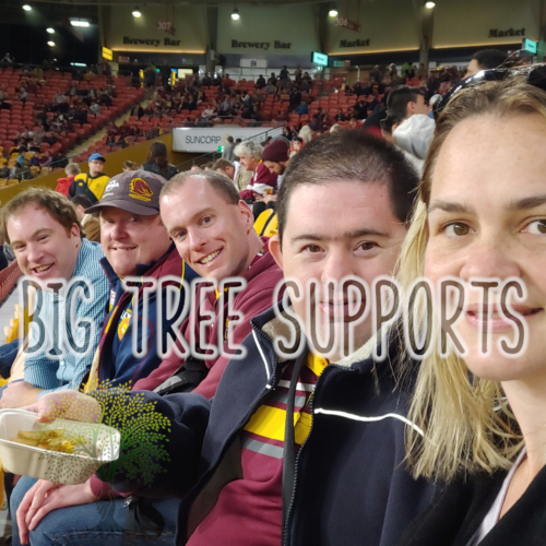 Big Tree Supports — photo 8
