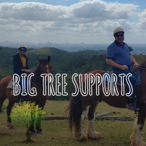 Big Tree Supports — photo 10