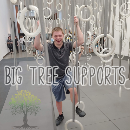 Big Tree Supports — photo 7