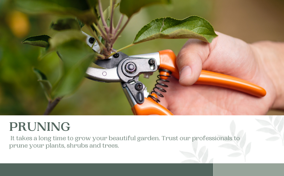 Quality Gardening and Services Melbourne — photo 12