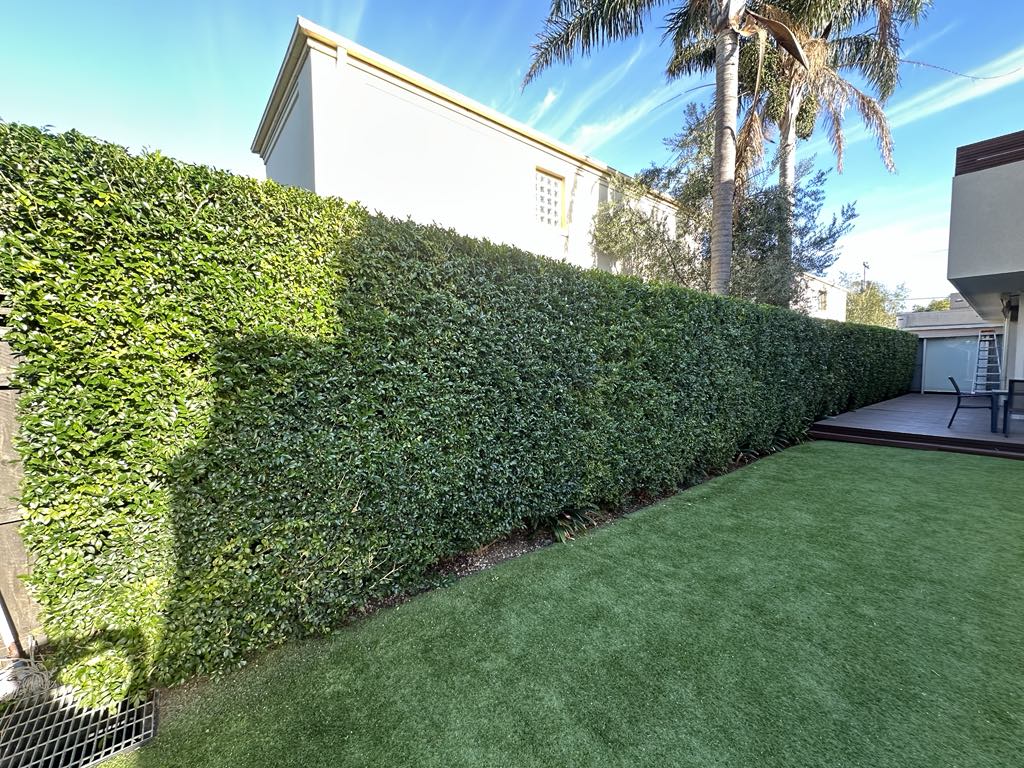 Quality Gardening and Services Melbourne — photo 2