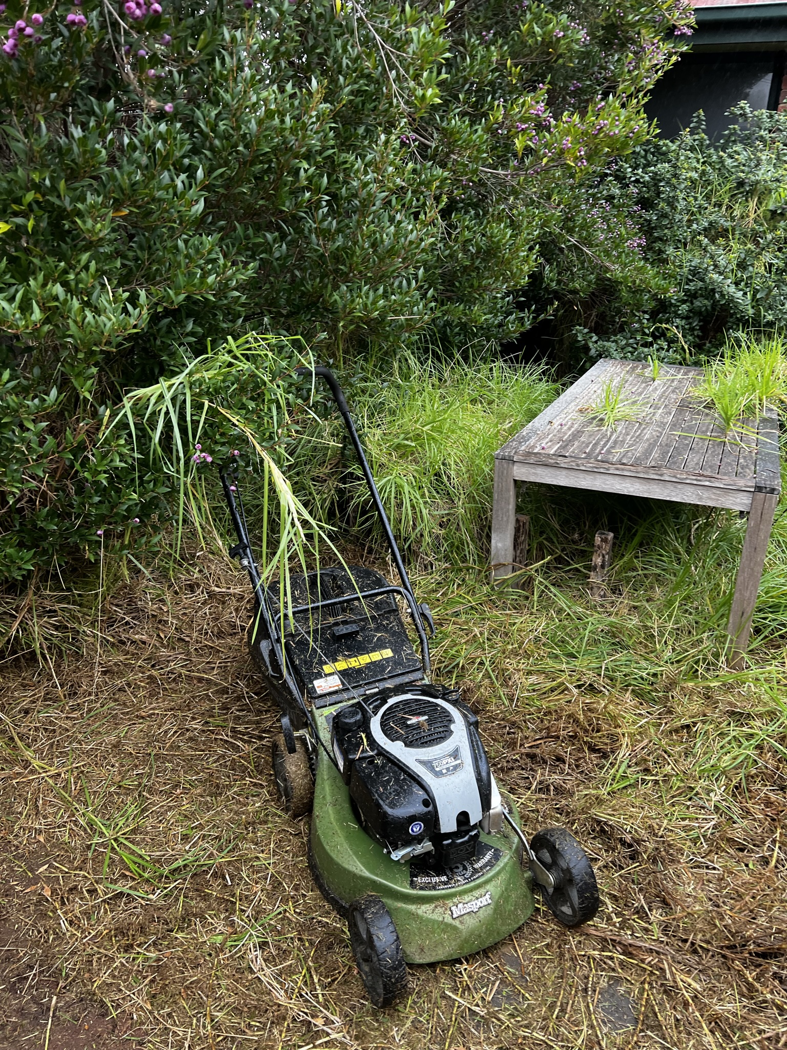 Quality Gardening and Services Melbourne — photo 14