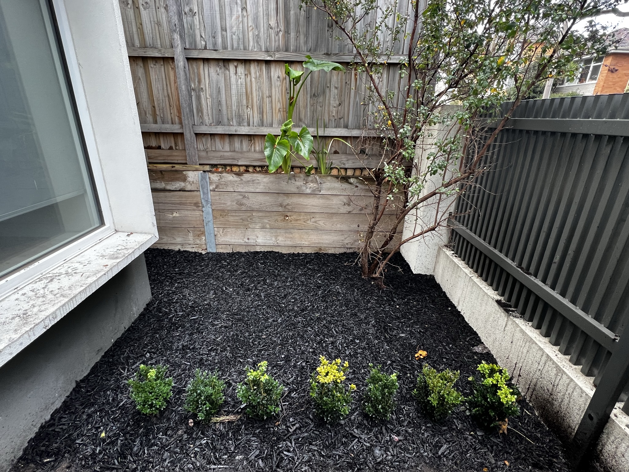 Quality Gardening and Services Melbourne — photo 6