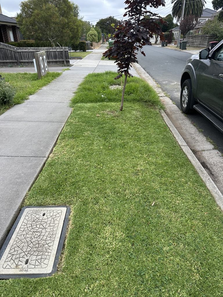 Quality Gardening and Services Melbourne — photo 1