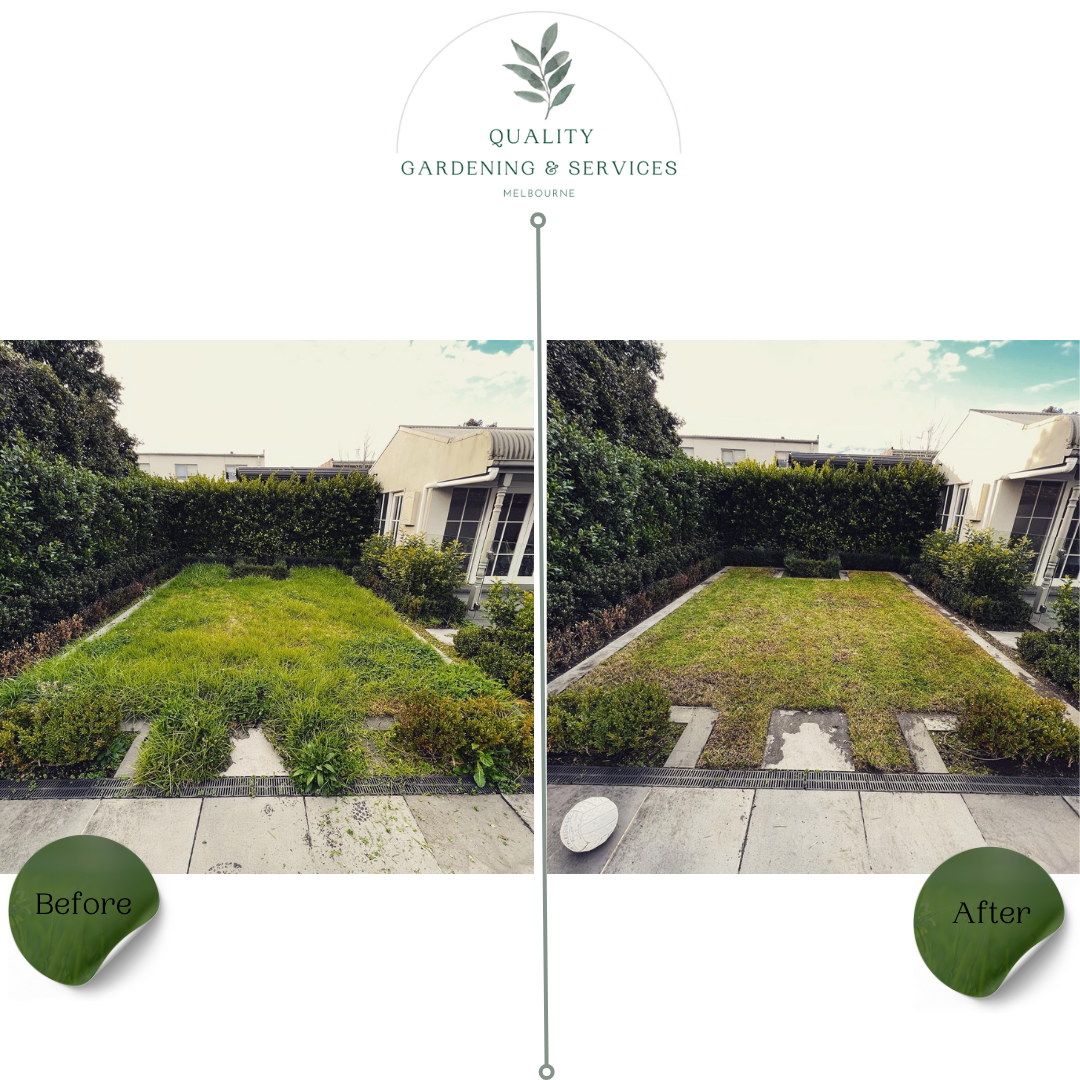 Quality Gardening and Services Melbourne — photo 8