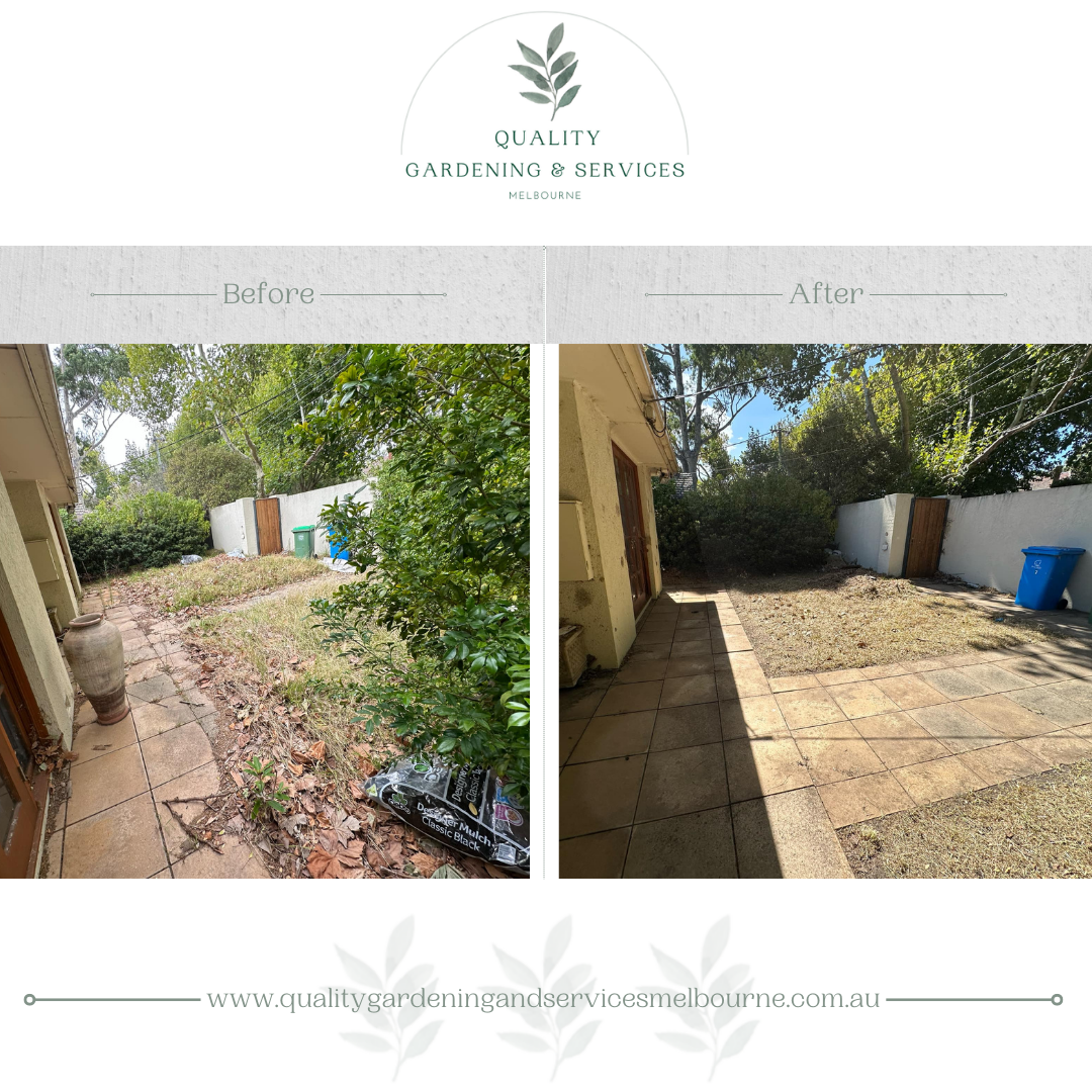 Quality Gardening and Services Melbourne — photo 4