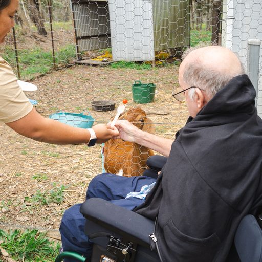 Sunnyday Carers — photo 12