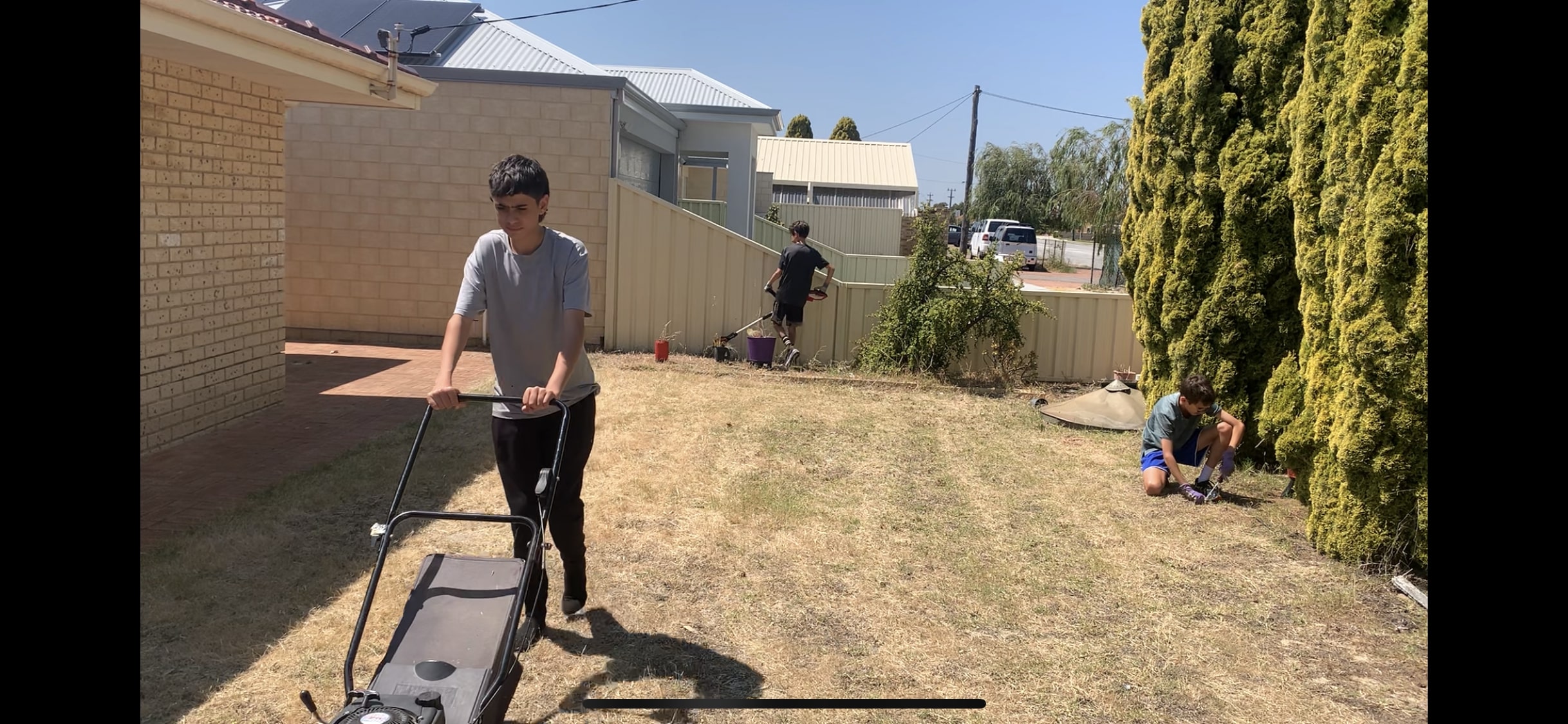 Dynamic Support WA — photo 5