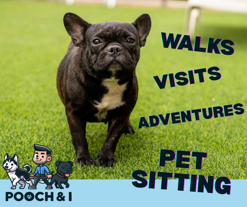 Pooch & I — photo 9