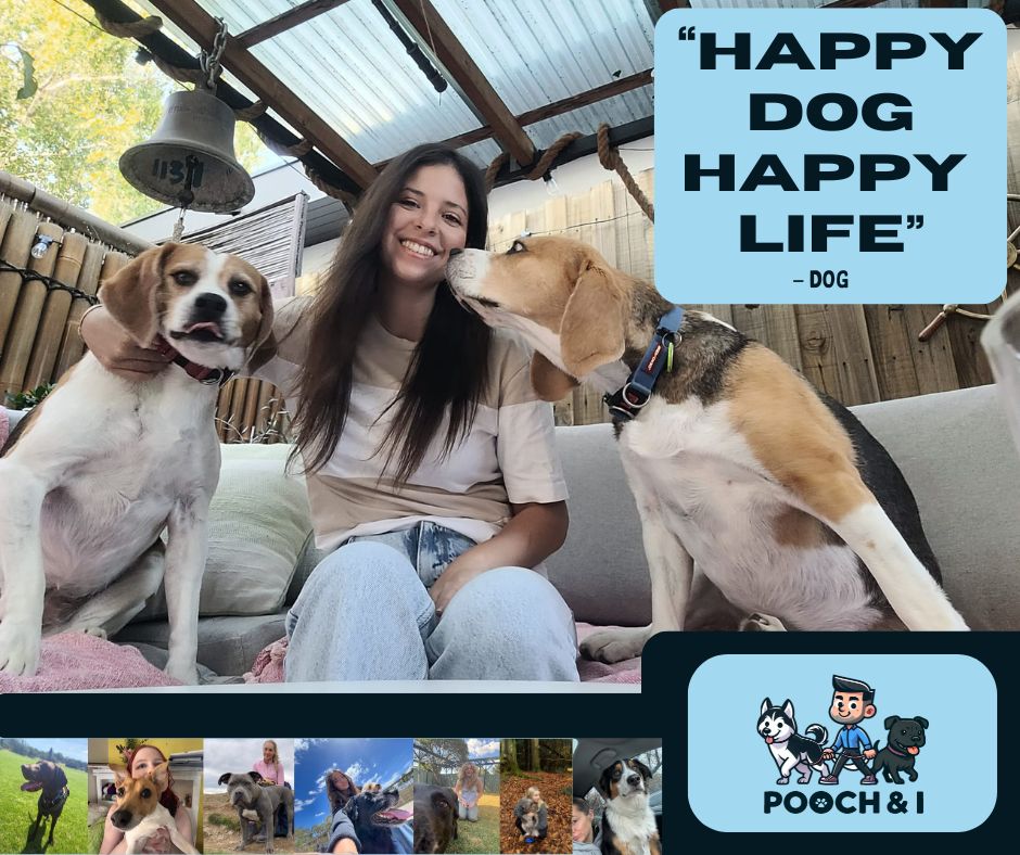 Pooch & I — photo 5