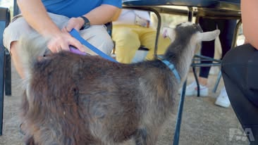 Disability To Ability SA — photo 8