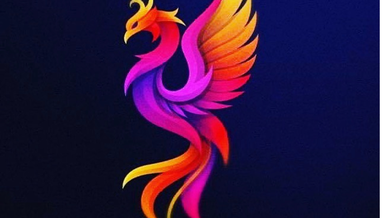 Pink Phoenix Community and Disability Care