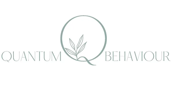 Quantum Behaviour