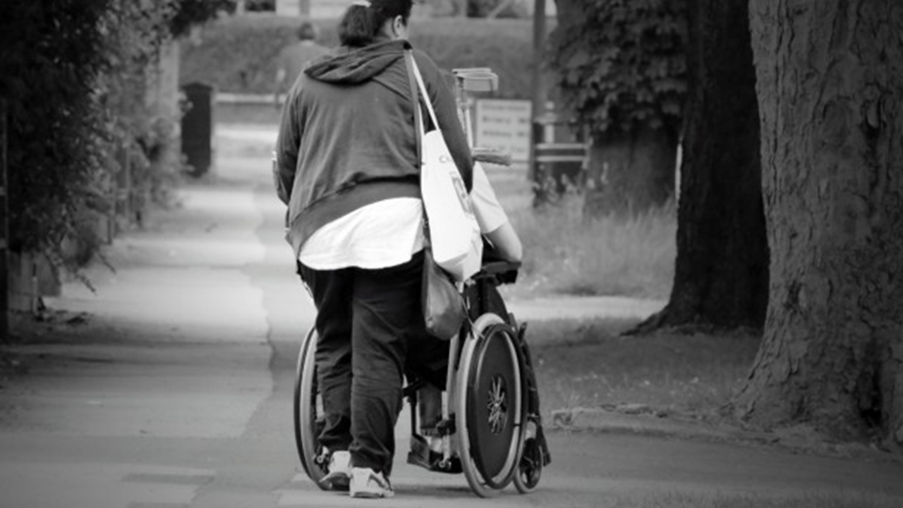 Ability Plus Care Services — photo 3
