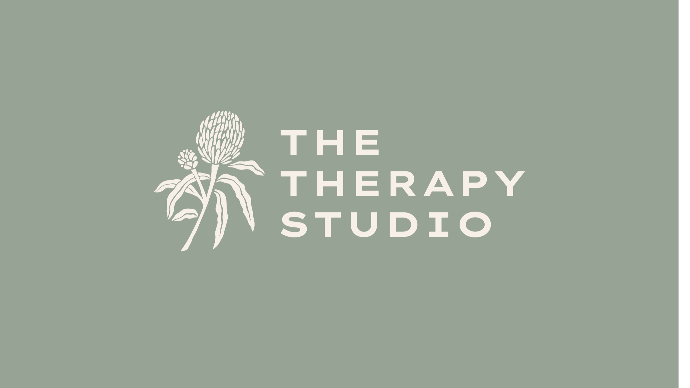 The Therapy Studio