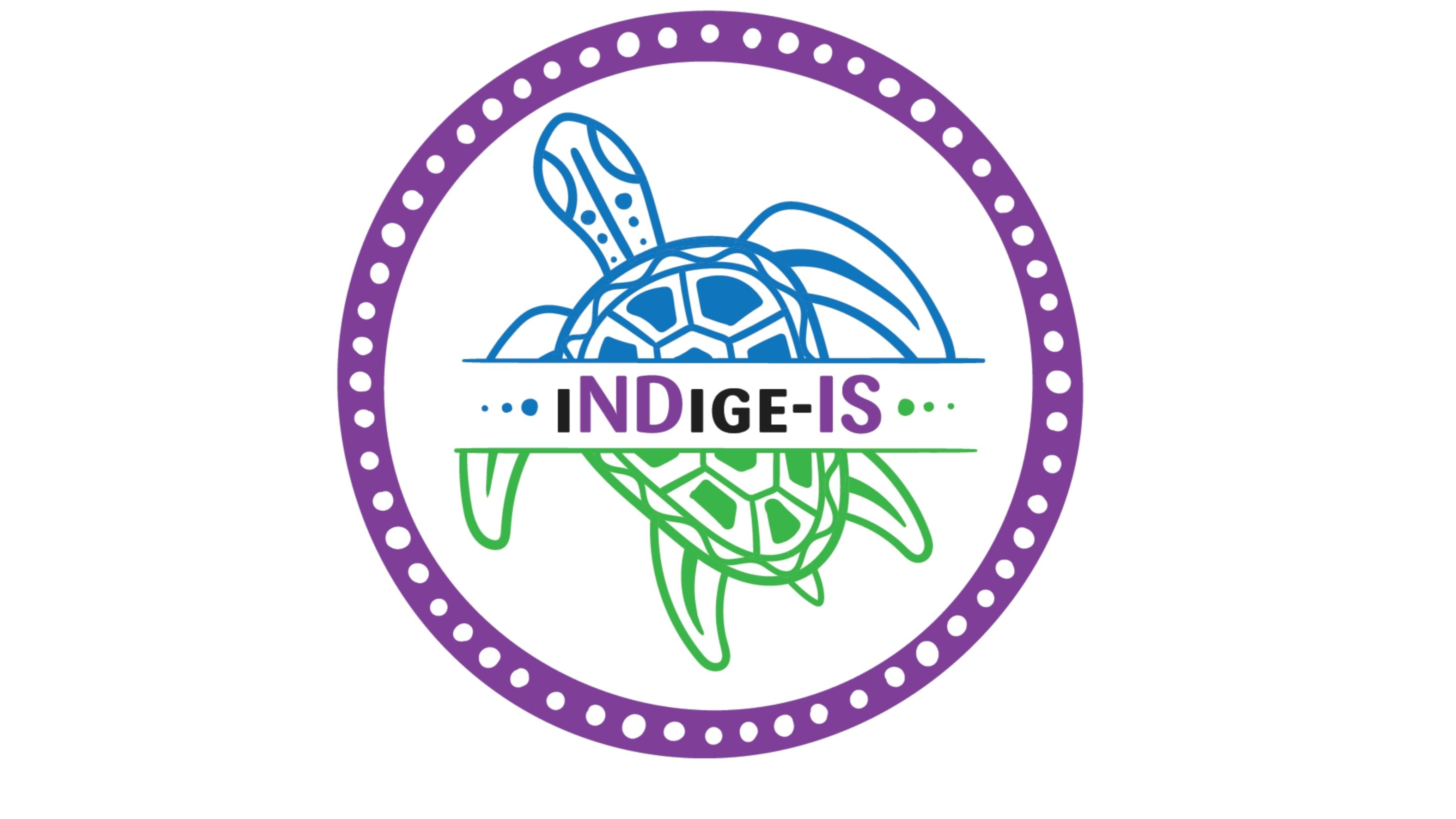 iNDige-IS logo