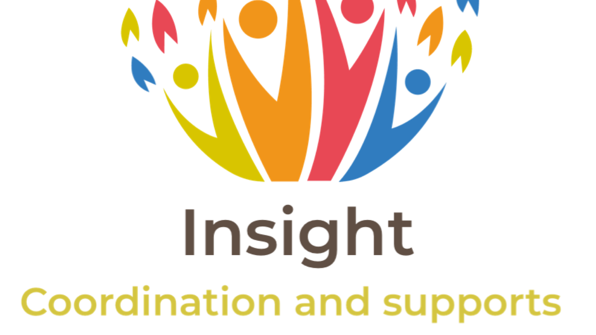 Insight Coordination and Supports