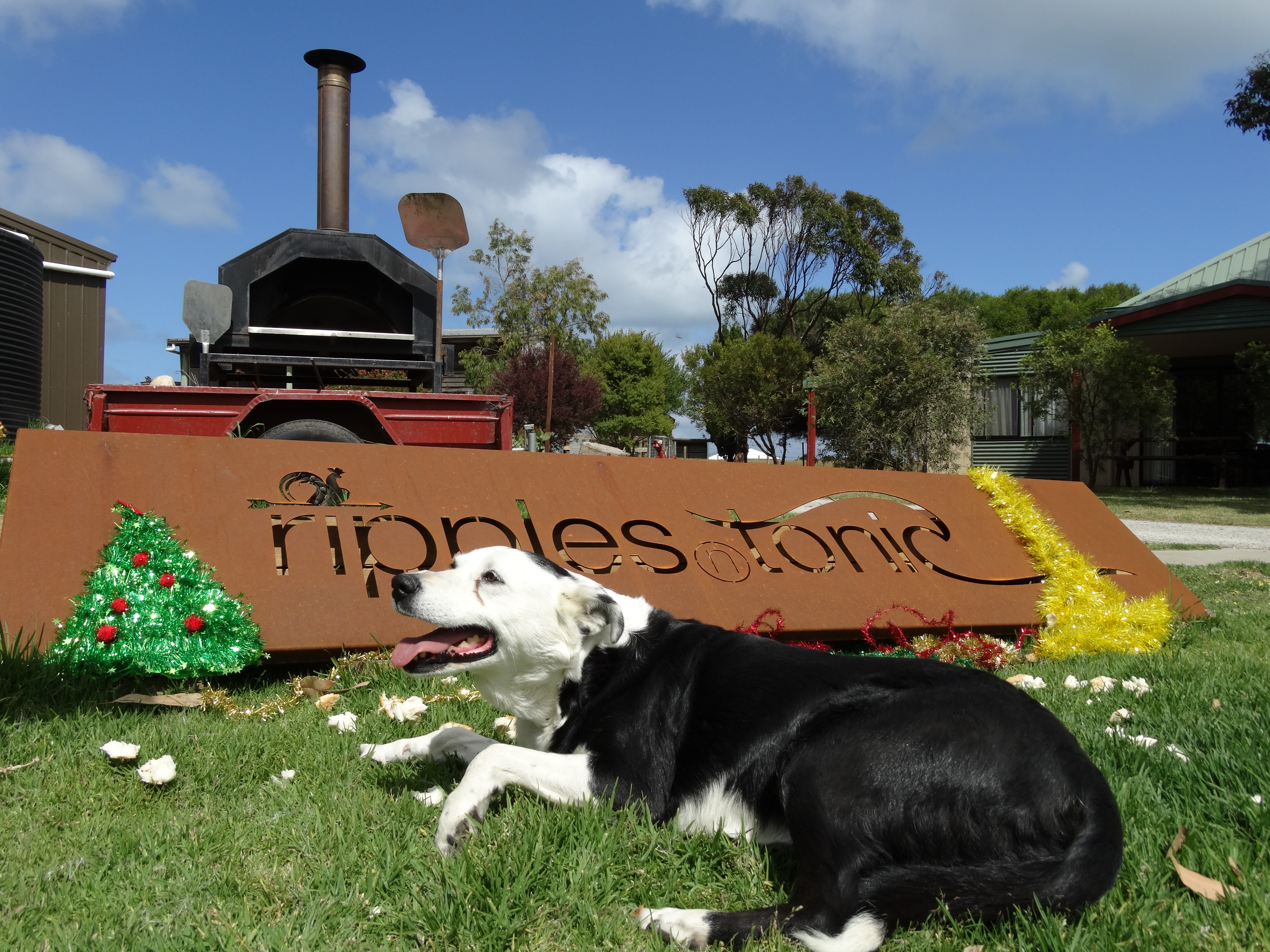 Ripples n Tonic Farm