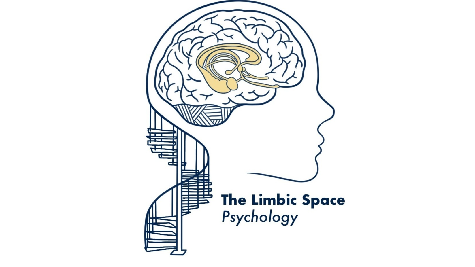 The Limbic Space