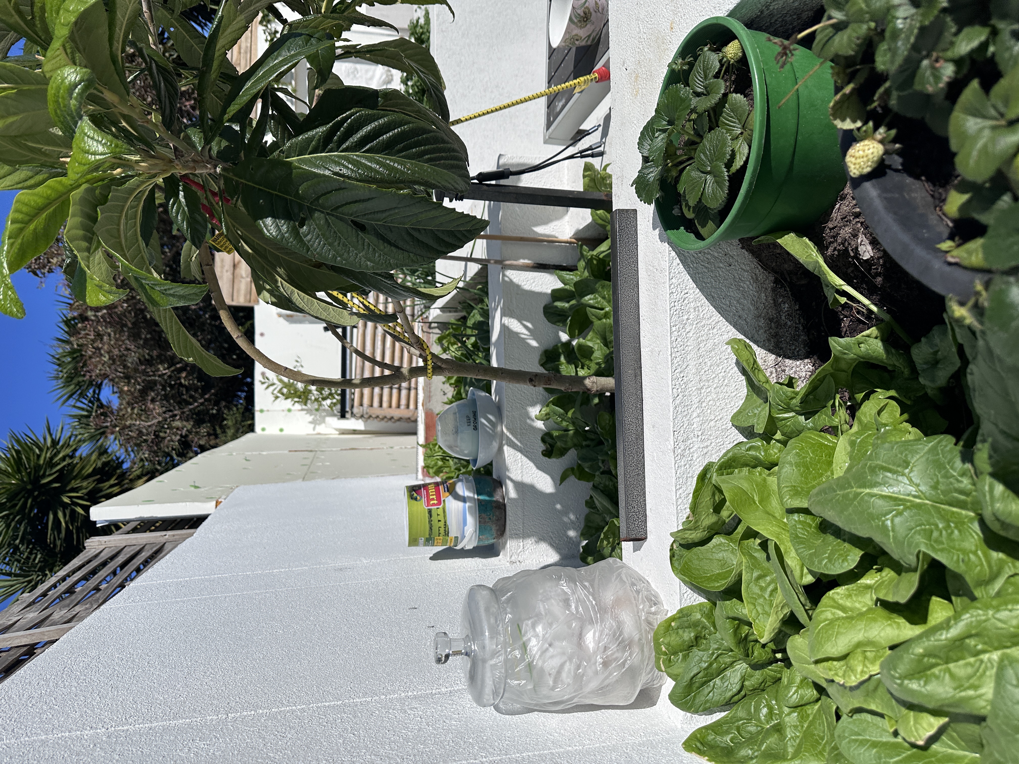 VICNA — photo 20