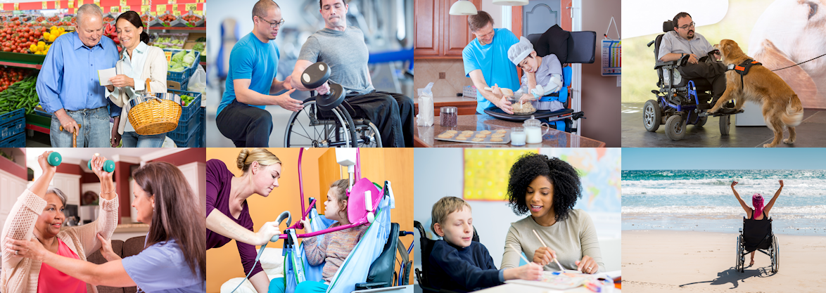 Ability Plus Disability Services logo