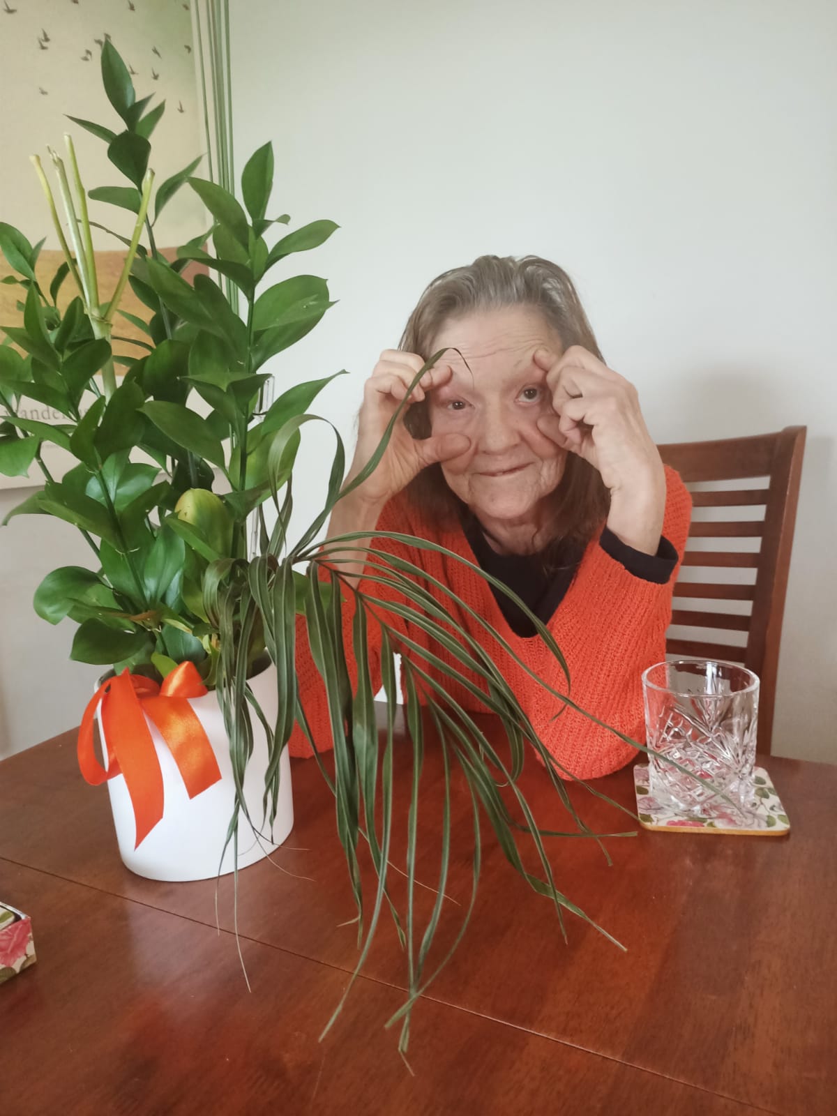 OptimumCare Plus — photo 22