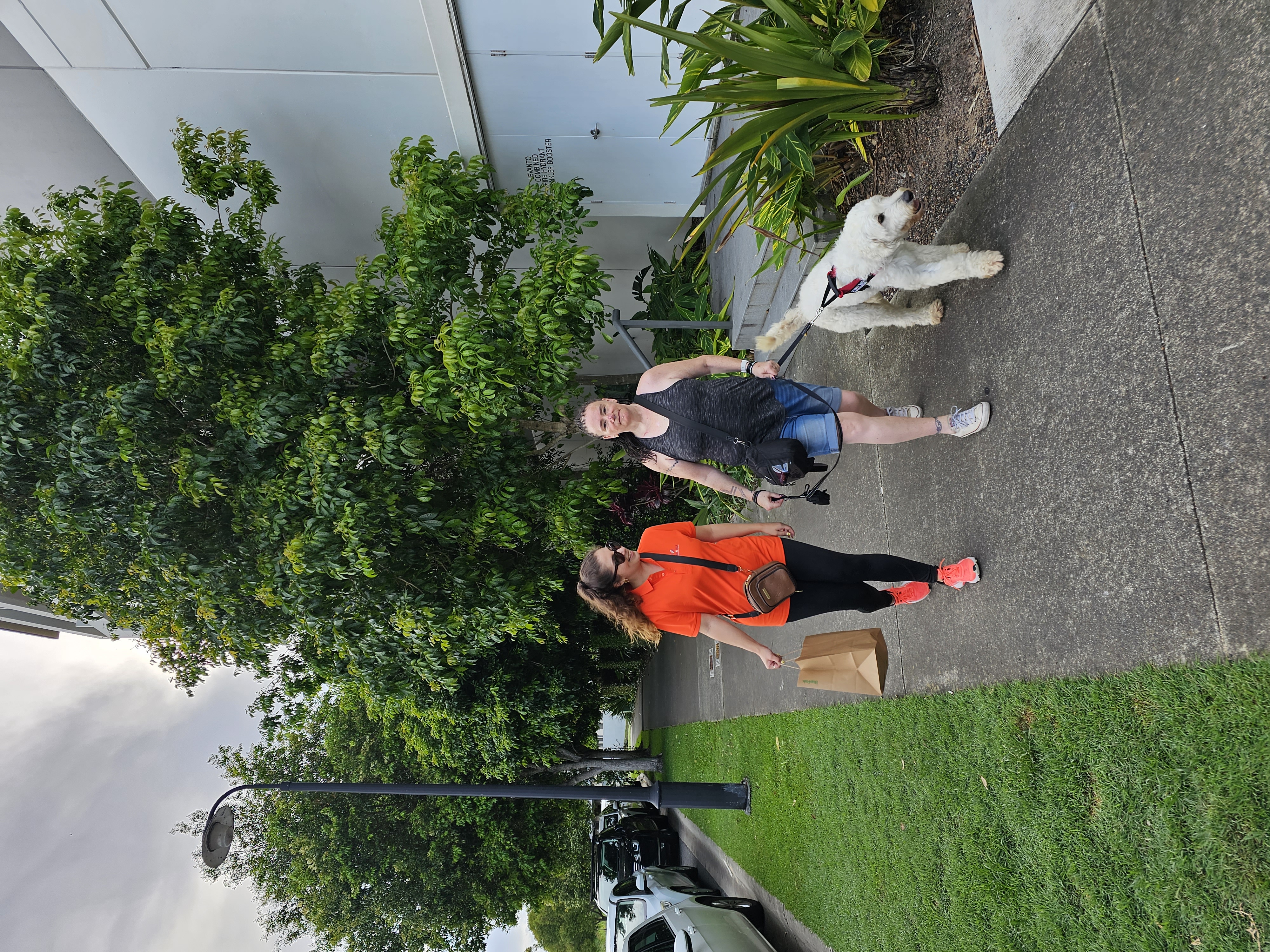 Care n Help — photo 5