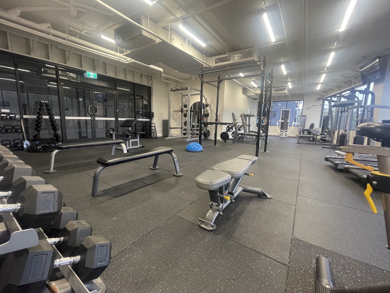 Sycamore Health — photo 4