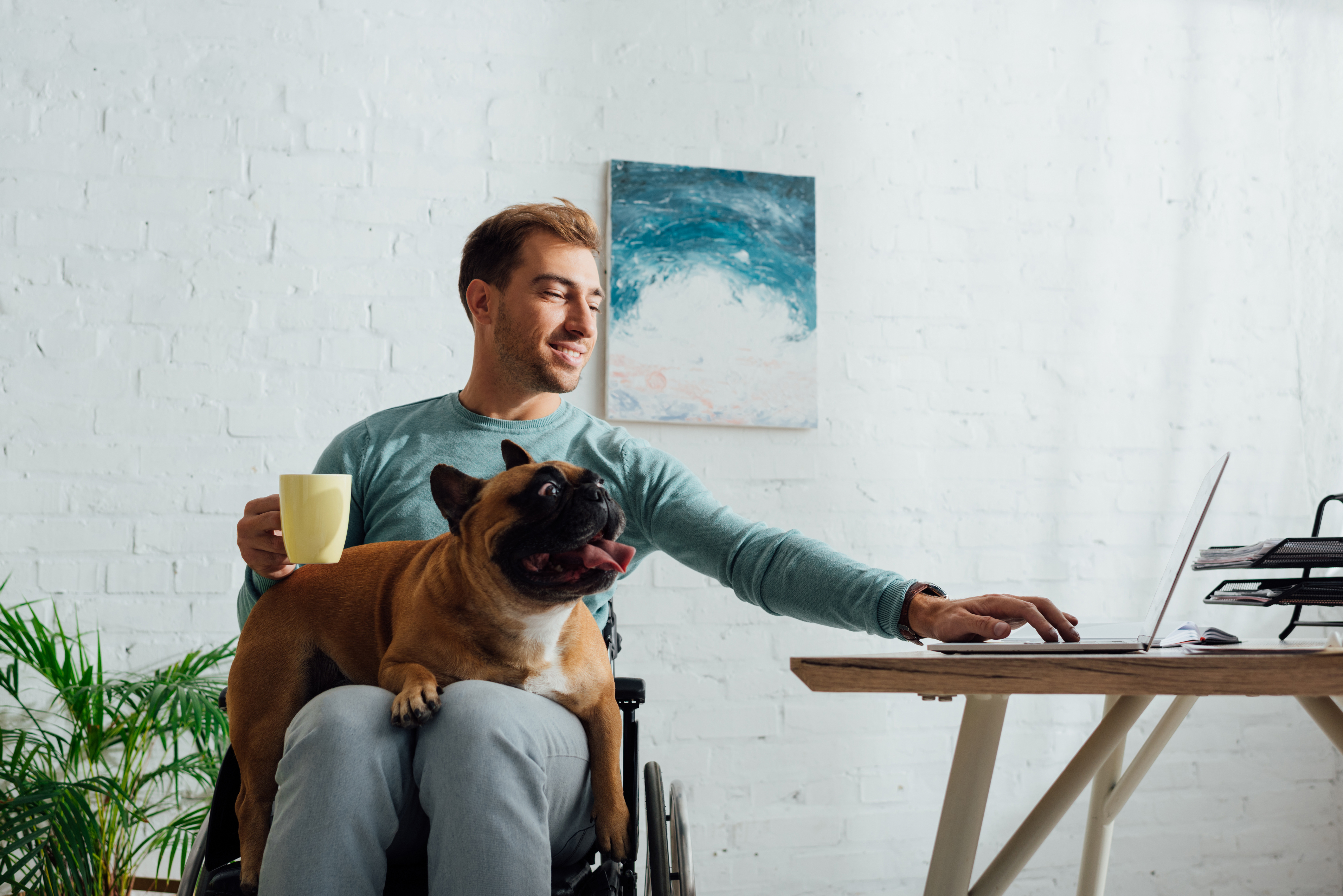 Harmony Home and Disability Support Services — photo 3
