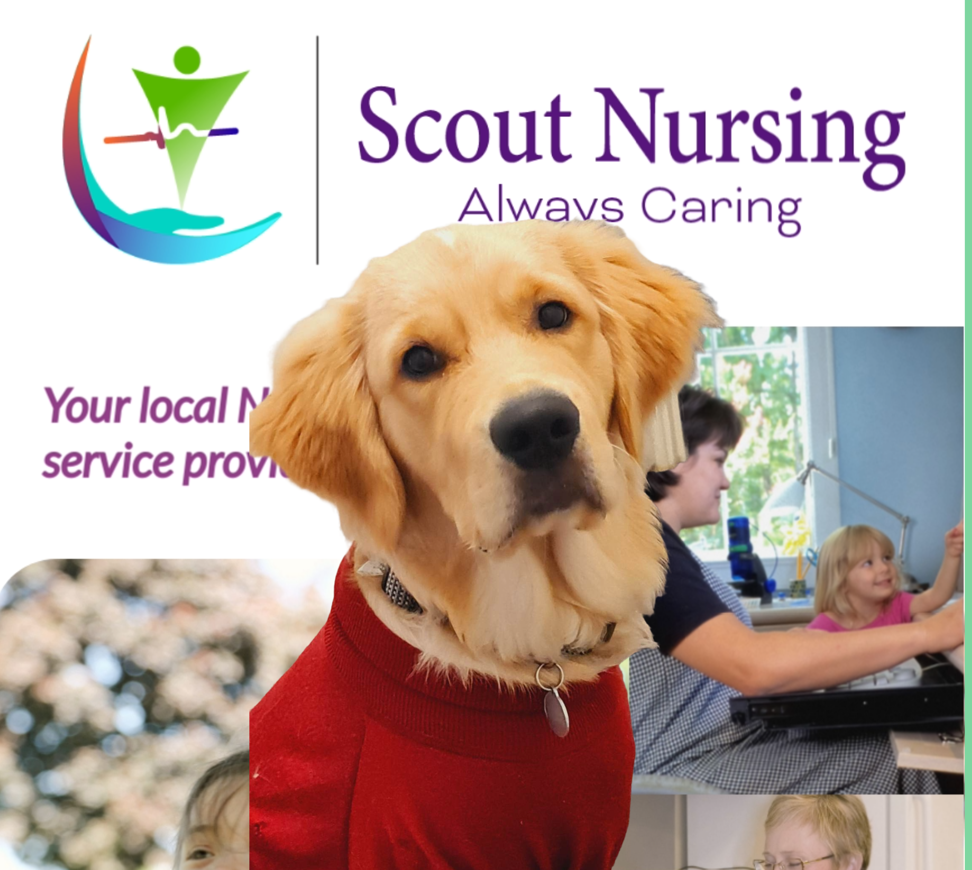 Scout Nursing — photo 4