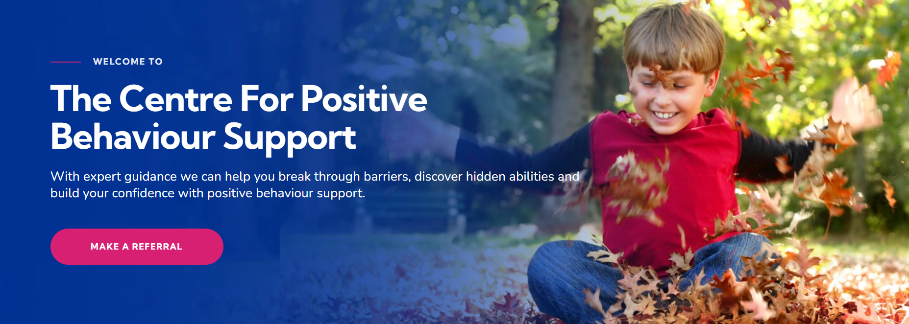 The Centre For Positive Behaviour Support — photo 1