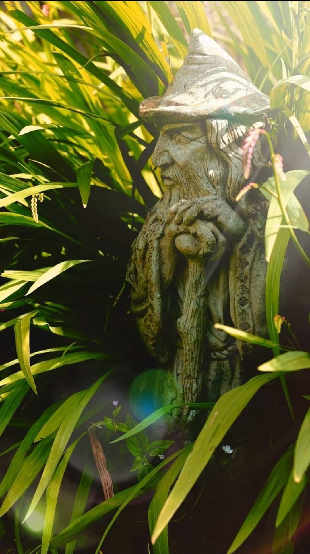 Garden Wizard