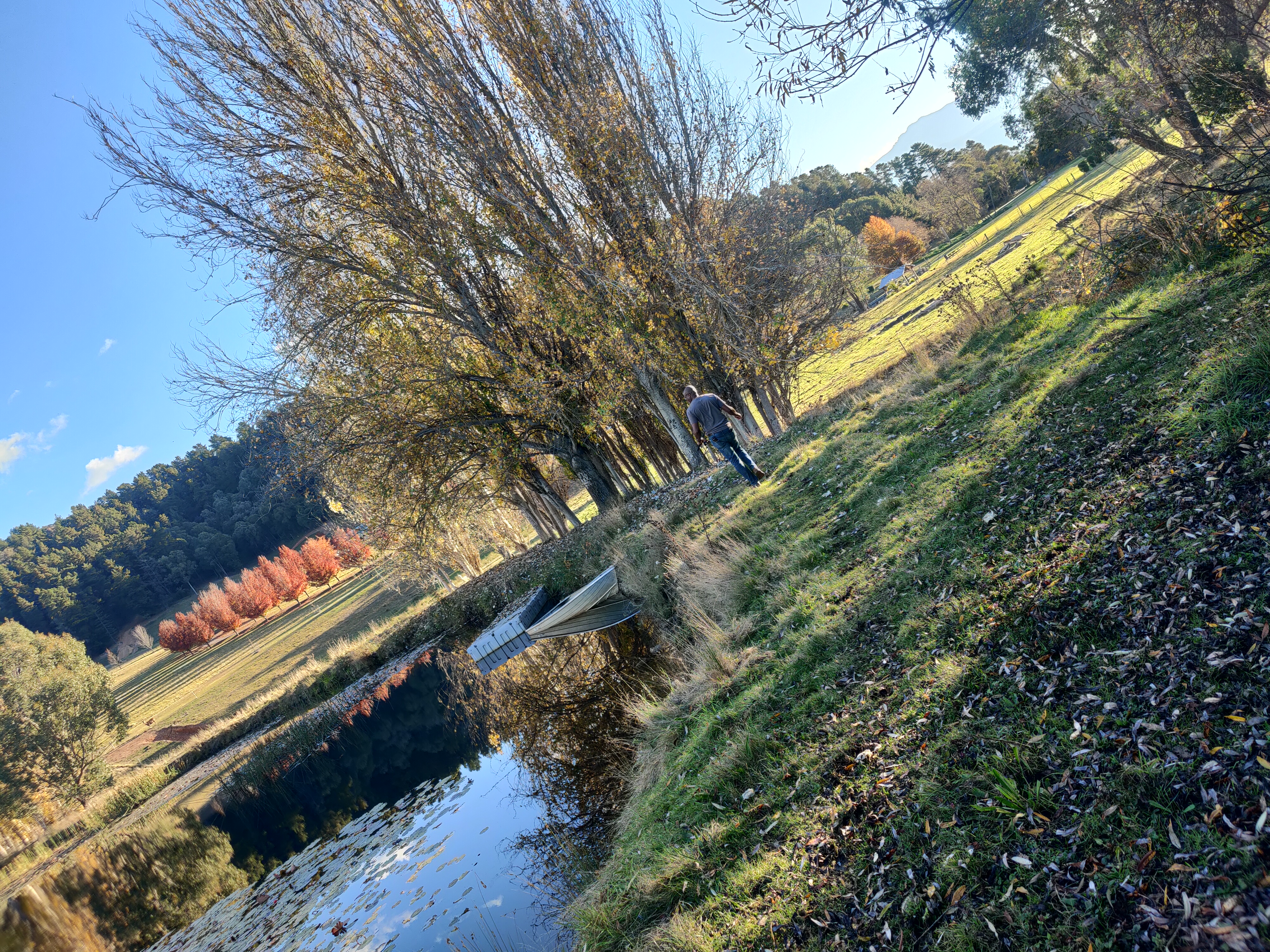 DisCare Australia — photo 9