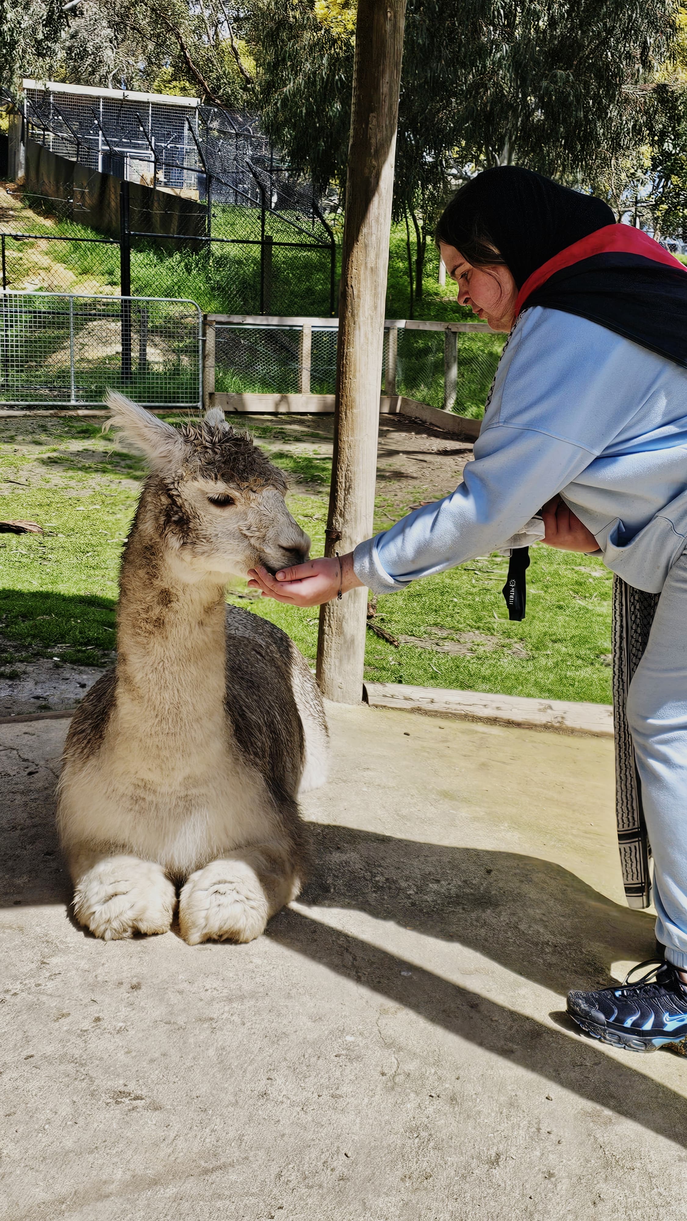 Western compassion care — photo 3