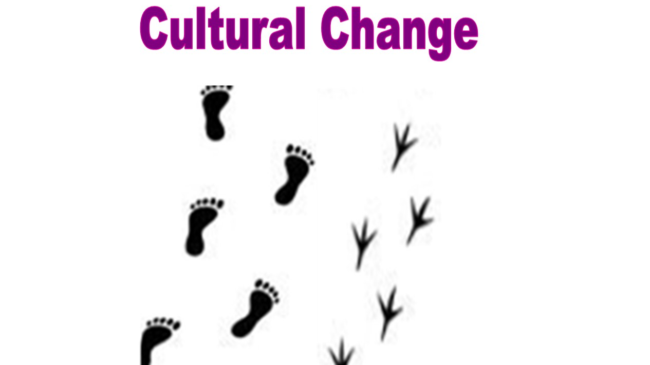 Cultural Change logo