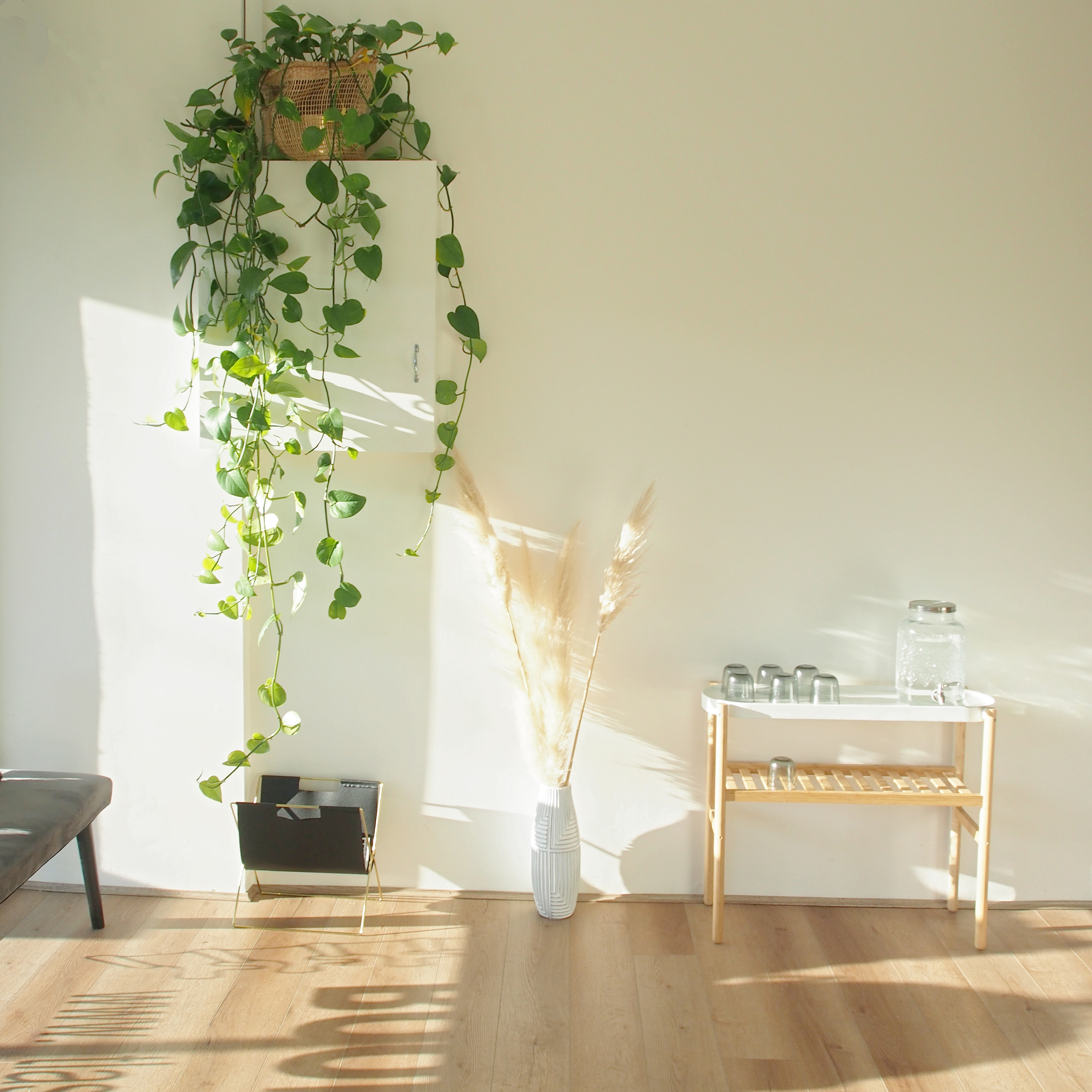 Motion Myotherapy Northcote Remedial Massage Melbourne