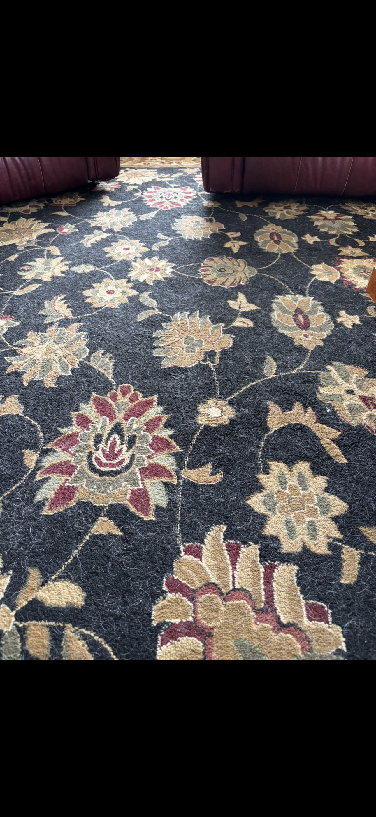 Precision Home Care — photo 19