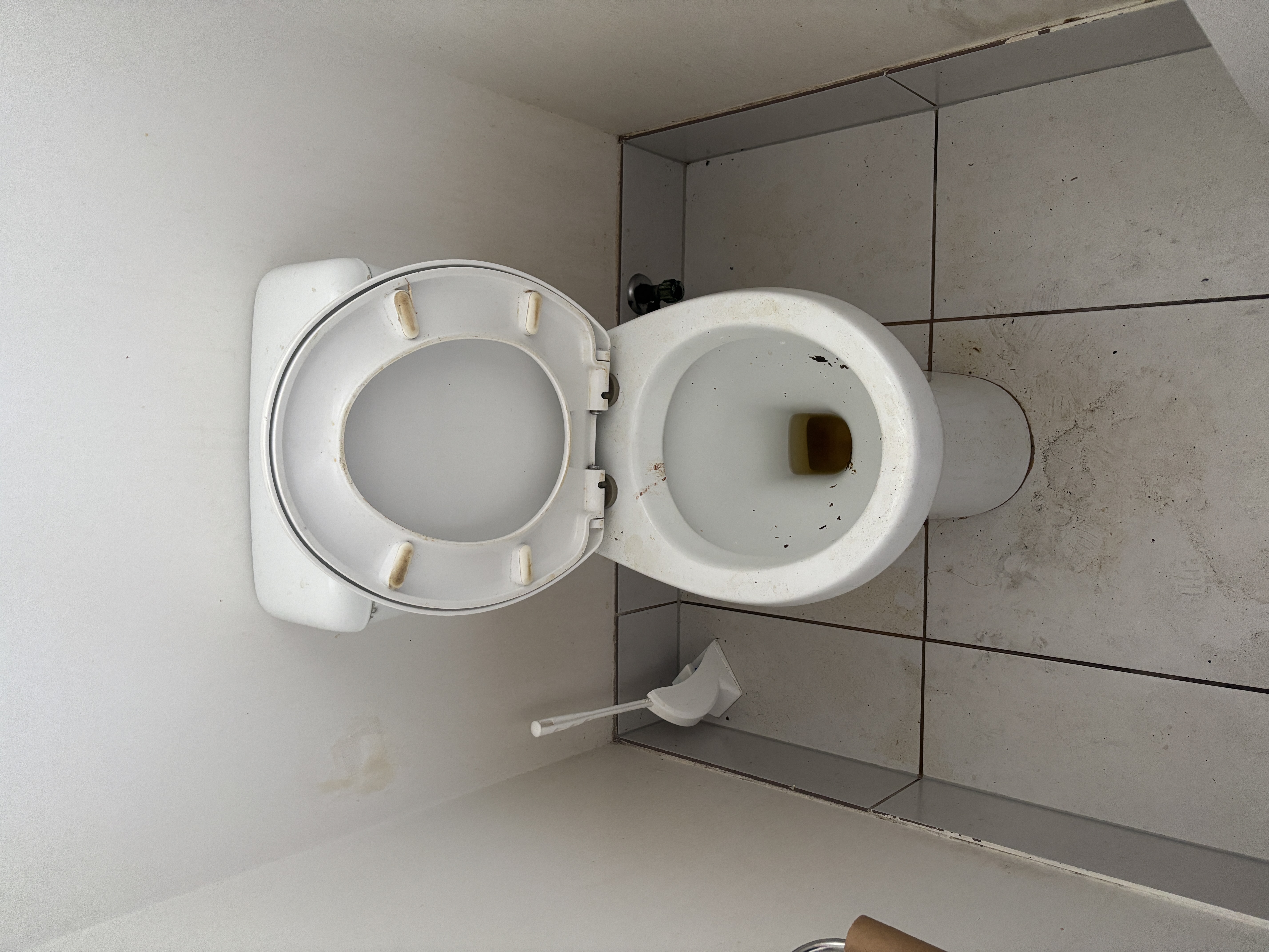 Precision Home Care — photo 5
