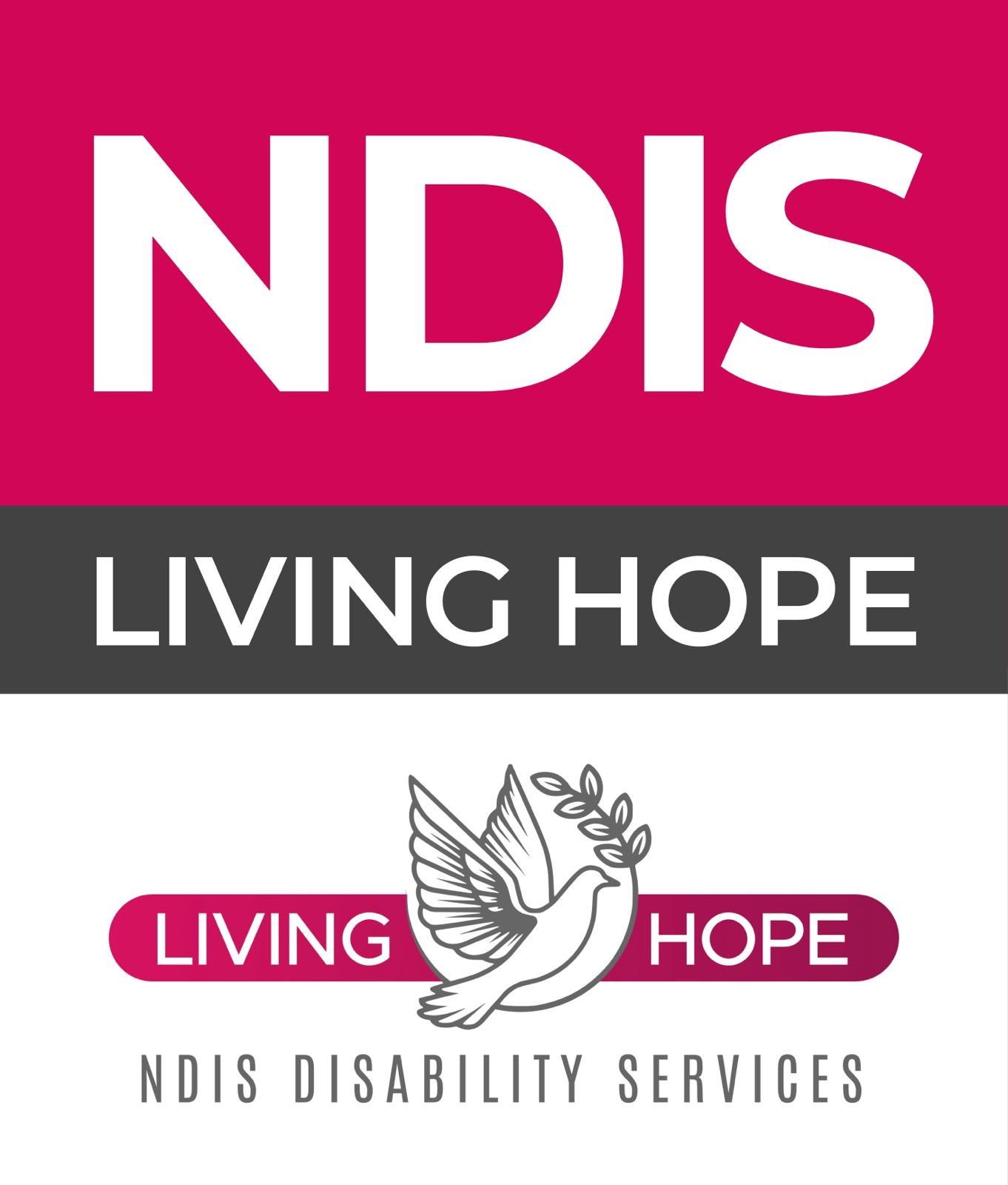 Livinghope NDIS Disability Services — photo 2