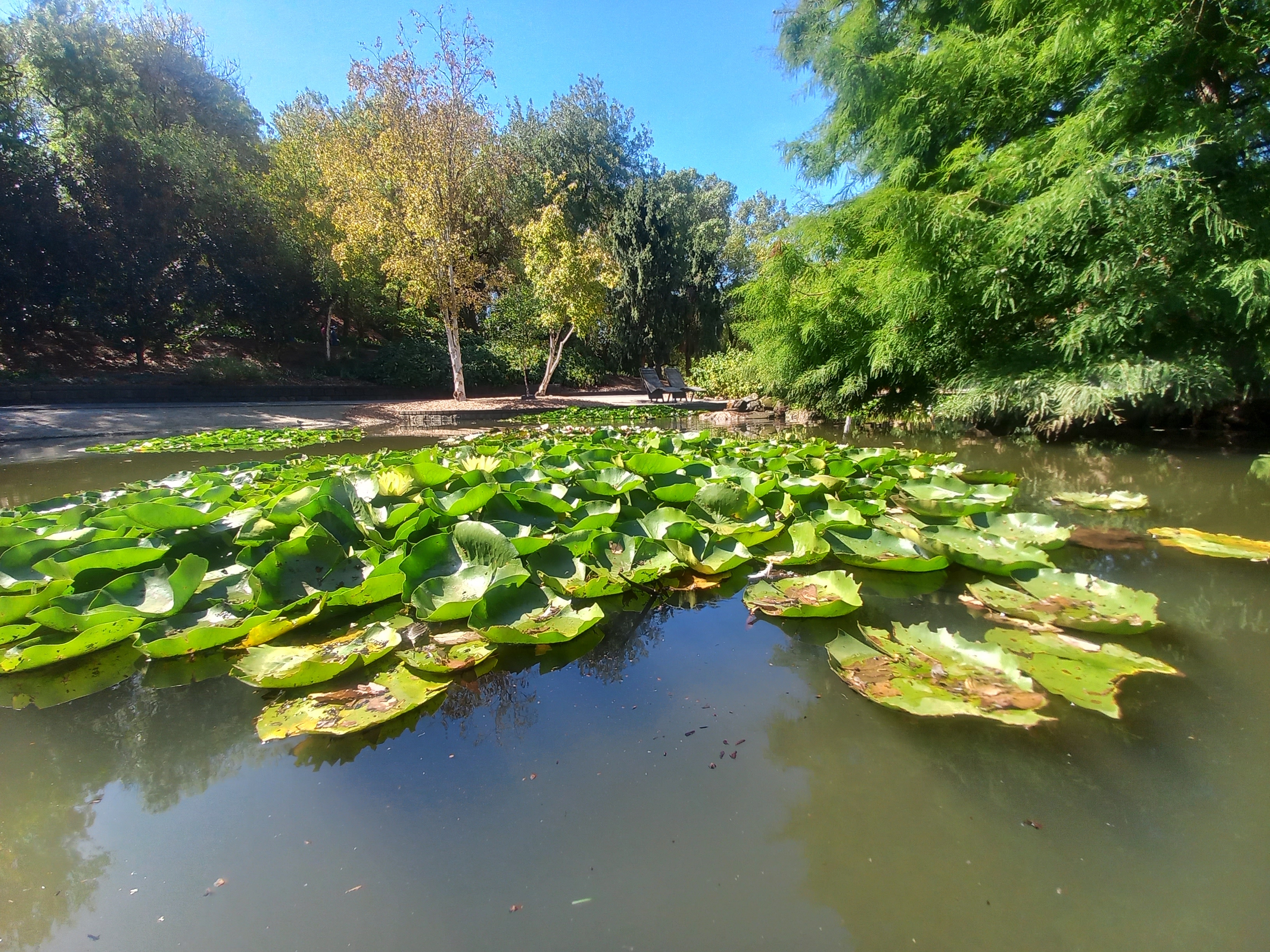 The Mental Health Mending Troupe — photo 4