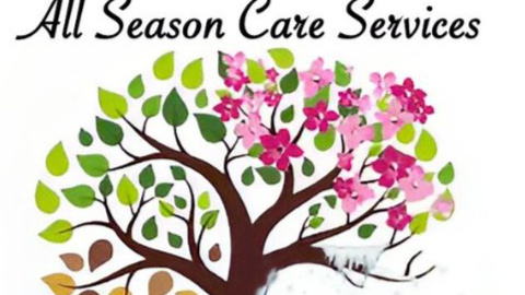 All Season Care Services