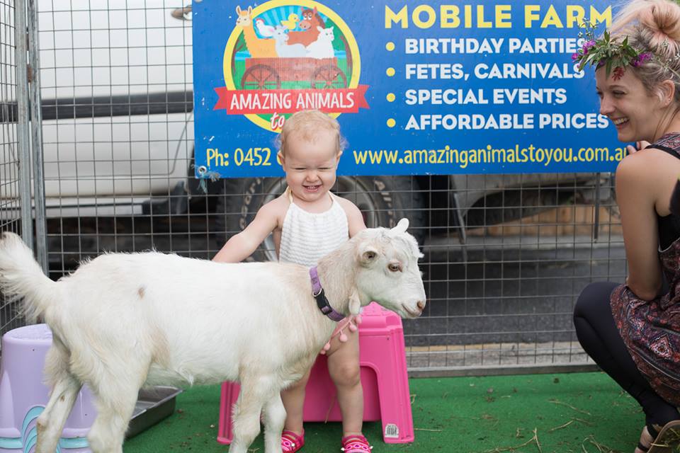 Amazing Animals To You