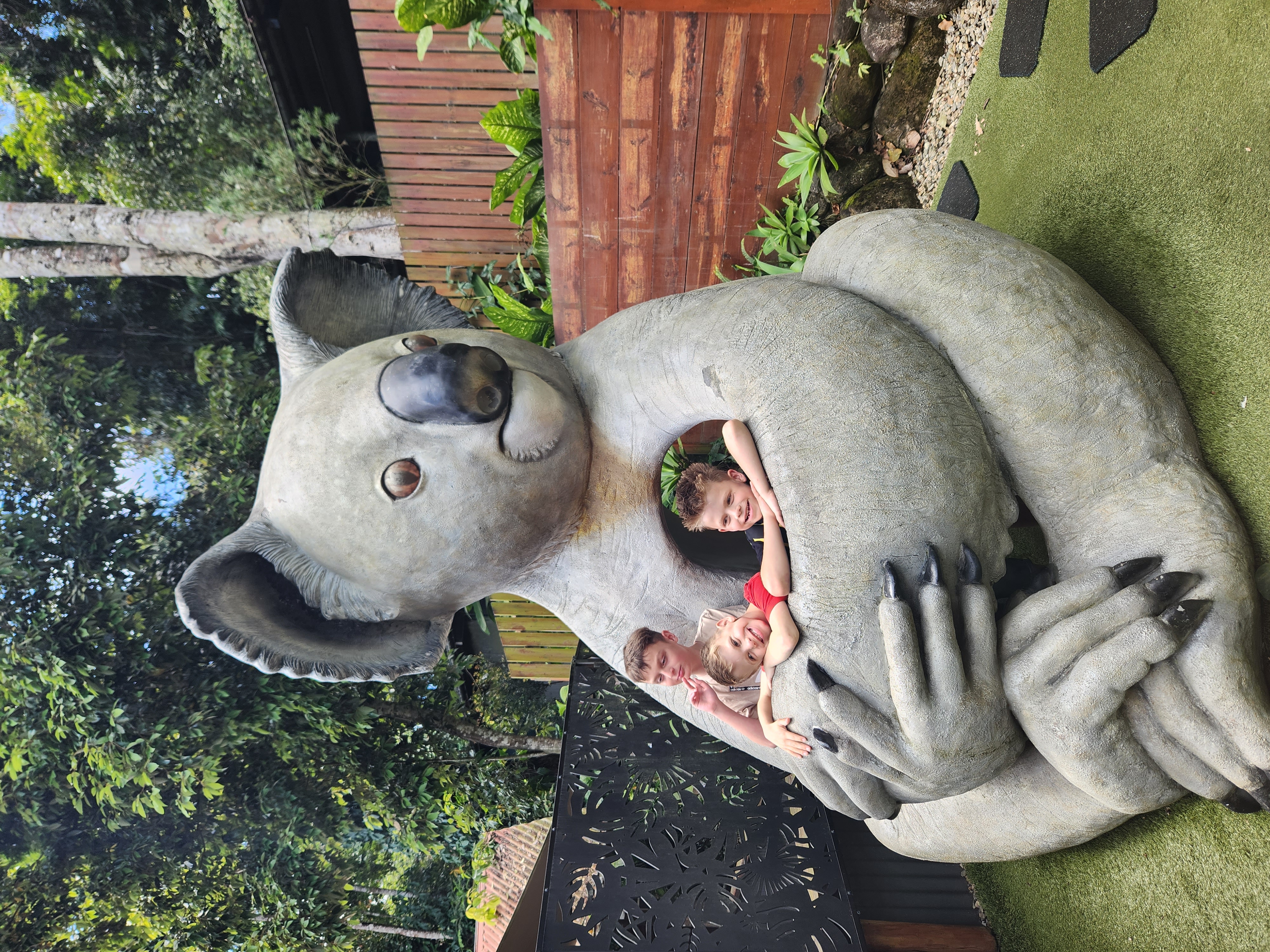 Komplete Abilities — photo 8