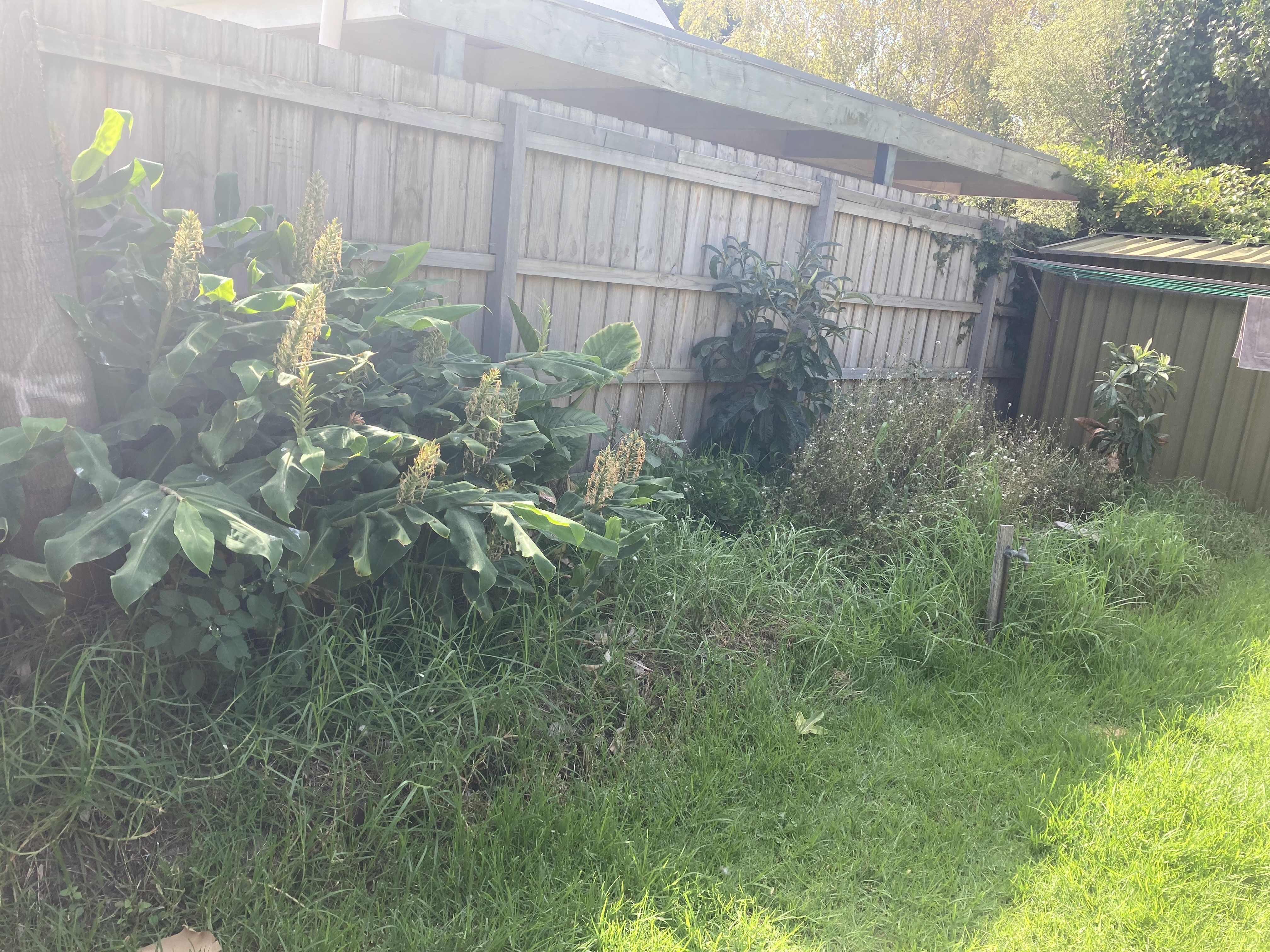 Camden Jack Landscapes — photo 7