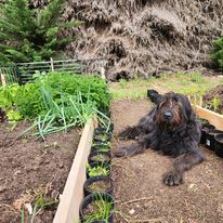 Farm the Calm — photo 16