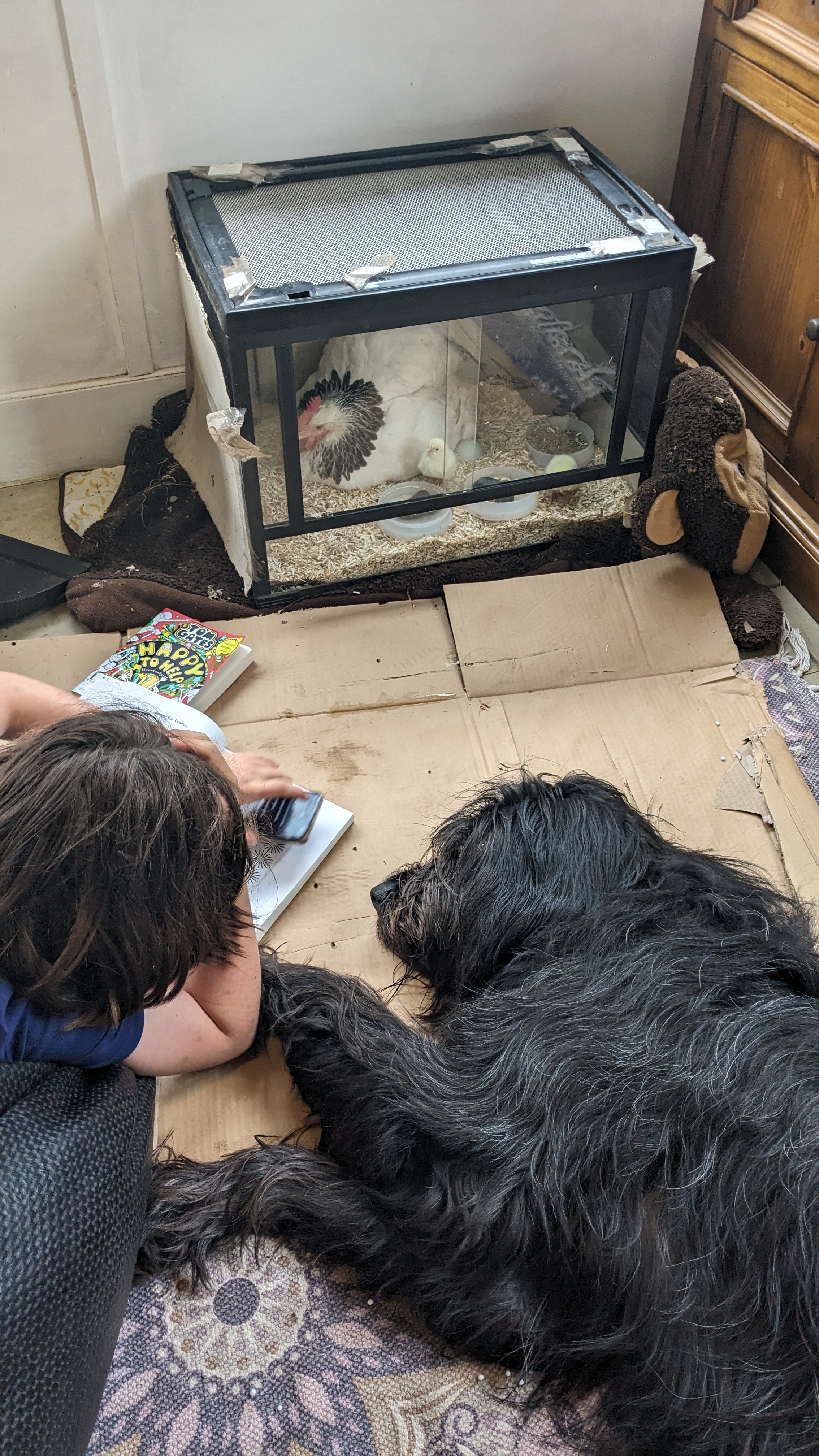 Farm the Calm — photo 6